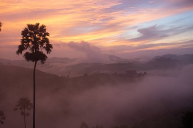 A famous viewpoint for the sea of mist in the morning in winter and rainy season, Wat Kong Niam, located behind Wat, Khao Kho, Phetchabun. clipart