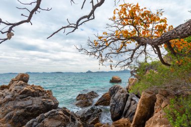 Bir eko-turizm merkezi olan Koh Kham, Sattahip, eko-turizm rotası boyunca dalıp mercan resiflerini ve doğal bitkileri görmek isteyen turistleri karşılıyor. Ayrıca, temiz beyaz bir kumsal ve açık yeşil bir deniz de var..