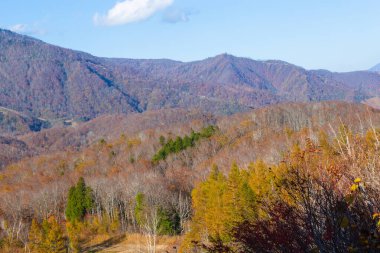 On the high mountains of Iwatake Ski Resort, easily see the beautiful scenery of the Japan Alps. In particular, during the autumn foliage season, you can see the colors of the leaves and the snow covering the mountaintop, Hakuba, Nagano, Japan clipart