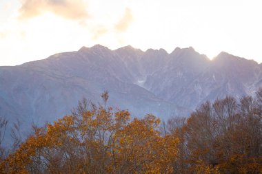 Iwatake Kayak Tesisi 'nin yüksek dağlarında, Japonya Alpleri' nin güzel manzarasını kolayca görebilirsiniz. Özellikle sonbahar mevsiminde, yaprakların renklerini ve dağların tepesini kaplayan karları görebilirsiniz, Hakuba, Nagano, Japonya.