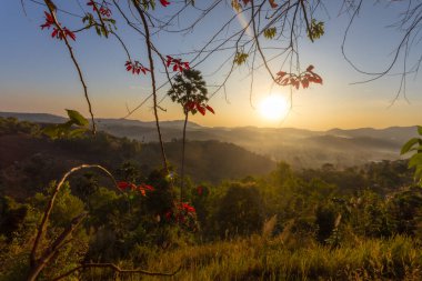 Wat Kong Niam, Khao Kho, Phetchabun, Wat Kong Niam 'ın arkasında yer alan, kışın ve yağmur mevsiminde sis denizi için ünlü bir bakış açısı.