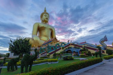 Wat Muang, Ang Thong ilindeki eski bir tapınaktır. Büyük Buda heykeli 2008 yılında inşa edildi. Tayland 'ın en büyüğü ve buraya ibadet etmek ve dua etmek için gelmeniz gereken bir yer.