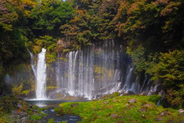 Shiraito Şelalesi Japonya 'daki en güzel şelalelerden biridir. Su, dağdaki eriyen kardan akar. Fuji. Kasım ayının sonlarında çok güzel oluyor. Shizuoka Bölgesi, Japonya