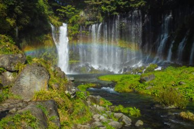 Shiraito Falls is one of the most beautiful waterfalls in Japan. The water flows from the melting snow on Mt. Fuji. It is most beautiful in late November. Shizuoka Prefecture, Japan clipart