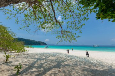 Tafook Adası ya da Dunkin Adası, Tayland 'ın Ranong eyaletinin karşısındaki Burma' da bir adadır. Beyaz kumlu plajları ve birçok deniz balığı sürüsünün yanı sıra mercan resifleri olan bir adadır.