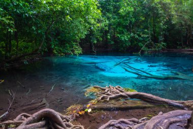 Mavi Havuz Tayland 'ın güneyindeki Krabi ormanındaki sıcak bir dereden geliyor. 30-50 derece santigrat dereceli sıcak bir kaynak. Ormanın ortasında açık, güzel bir havuz. Mavi-yeşil renkte.