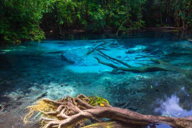 Mavi Havuz Tayland 'ın güneyindeki Krabi ormanındaki sıcak bir dereden geliyor. 30-50 derece santigrat dereceli sıcak bir kaynak. Ormanın ortasında açık, güzel bir havuz. Mavi-yeşil renkte.