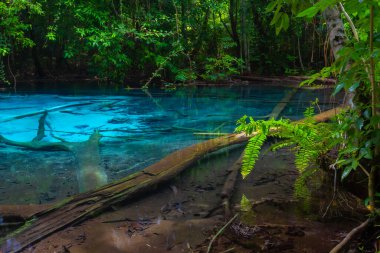 Mavi Havuz Tayland 'ın güneyindeki Krabi ormanındaki sıcak bir dereden geliyor. 30-50 derece santigrat dereceli sıcak bir kaynak. Ormanın ortasında açık, güzel bir havuz. Mavi-yeşil renkte.