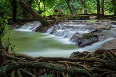 Amphoe Ao Luk 'ta bulunan Bok Khorani Milli Parkı' nda şelaleleri, bereketli ormanları, mağaraları ve çeşitli bitkileri, çiçekleri, kuşları, kelebekleri keşfedebilirsiniz.