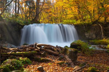 Choshi Otaki Şelaleleri 'nin güzelliği, Oirase Deresi' nin bir parçası, sonbaharda Towada Gölü, Aomori Şehri, Tohoku Bölgesi, Japonya