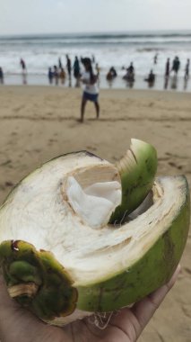 Kumsalda hindistan cevizi