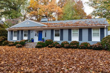 Ranch house and yard covered in a deep layer of fall leaves, leaf removal needed, horizontal aspect