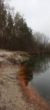 Ormandaki nehrin güzel manzarası