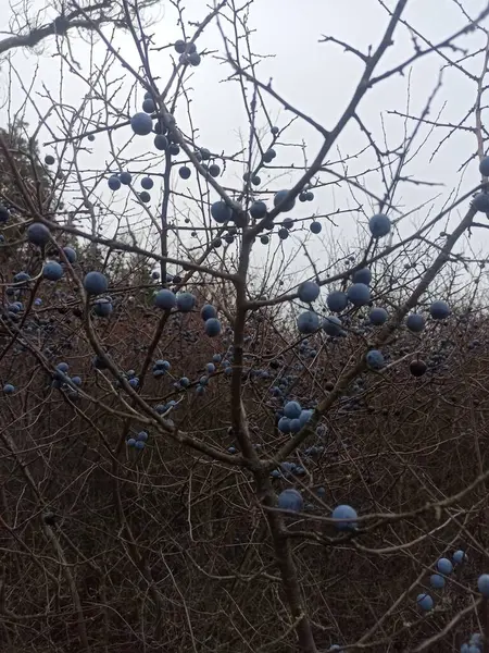 Doğanın güzel manzarası