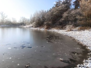 Kar ve ağaçlarla kaplı kış manzarası