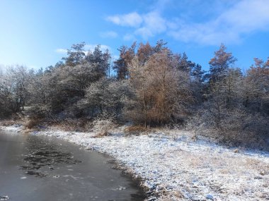 Orman gölü manzaralı, karla kaplı güzel kış manzarası.