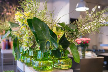 Çiçekli dekoratif cam vazolar. Yeşil Philodendron Burle-marxii ve Gloriosa superba ön planda. Çiçek..