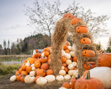 Cadılar Bayramı 'nda kamış ve balkabağı ile kemer süsleme.