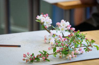 Drawing corse - How to draw apple flower blossom. A blossoming apple tree branch and a sheet of paper. clipart