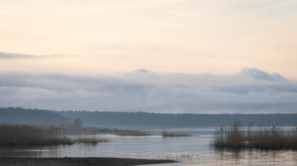 Blue evening on the seaside with forest in fog on horizon, cloudy sunset, panorama.  Trees and the sea at sunset. Seascape on island, travel on Europa. 