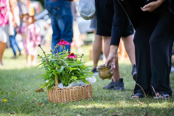 Çimenlikte bit pazarı alışverişi. Mor fındıklı bitki ve bakır kaplar çimlerin üzerinde. Tüketim, alışveriş, yaşam tarzı konsepti.