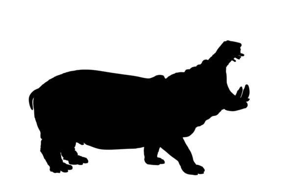 カバの形 白い背景に隔離された開いている顎のカバベクトルシルエットイラスト アフリカからの大きな恐ろしい動物 野生動物のシンボル — ストックベクタ