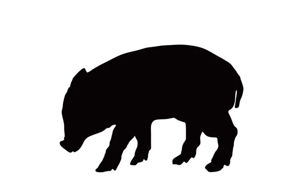 白い背景に隔離された赤ちゃん豚ベクトルシルエットイラスト 豚肉だ 肉屋の壁紙ポスター 農場の動物のシンボル 国産豚 イノシシの繁殖 有機食品 小さな子豚のシンボル — ストックベクタ