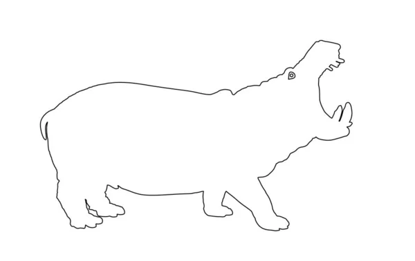 Kształt Konturu Hipopotama Otwarte Szczęki Hippo Wektor Sylwetka Ilustracja Izolowane — Wektor stockowy