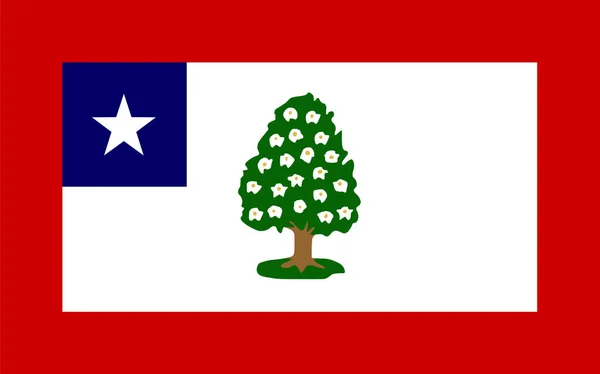1861年至1865年期间 密西西比旗矢量图为孤立图例 美利坚合众国的状况 美国州旗 — 图库矢量图片