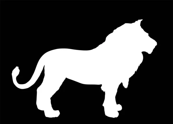 狮子矢量轮廓插图孤立在黑色背景 动物之王大猫非洲的骄傲 狮子座黄道带符号 野生动物掠食者狮形影子符号 非洲五大成员 — 图库矢量图片