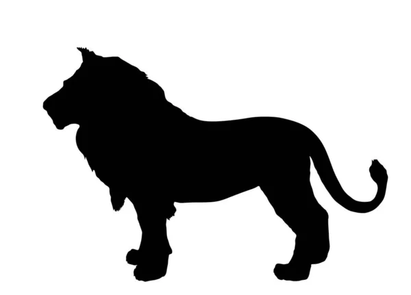 Иллюстрация Силуэта Льва Изолирована Белом Фоне Король Животных Большой Кот — стоковый вектор