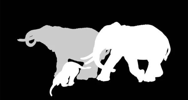 象の家族の群れ黒の背景に隔離された飲料水ベクトルシルエットイラスト アフリカのサファリ動物 自然の生息地で強力な哺乳類 象形の影のシンボル — ストックベクタ
