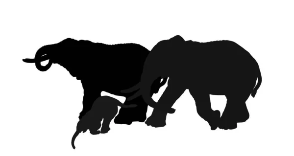 Stádo Slonů Rodina Pít Vodní Vektor Silueta Ilustrace Izolované Bílém — Stockový vektor