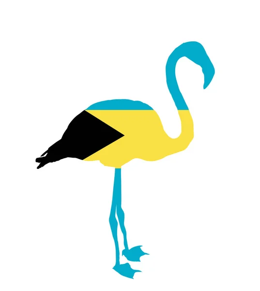 Bahamas Vlag Flamingo Vector Silhouet Illustratie Geïsoleerd Witte Achtergrond Bahamas — Stockvector