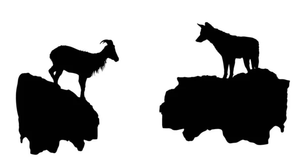 崖の上に空腹のオオカミは 白い背景に隔離された岩ベクトルのシルエットのイラストでヤギへのアプローチ 野生動物の動物に危険捕食者の警告 スマート捕食者ジャッカル狩猟Ibex山 — ストックベクタ