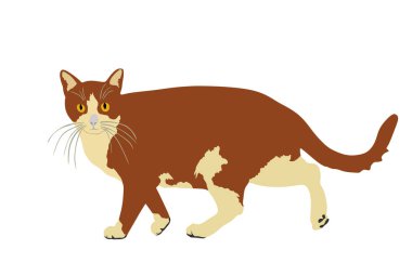 Beyaz arka planda izole edilmiş yurtiçi kahverengi kedi yürüyen vektör çizimi. Sevimli kedicik..