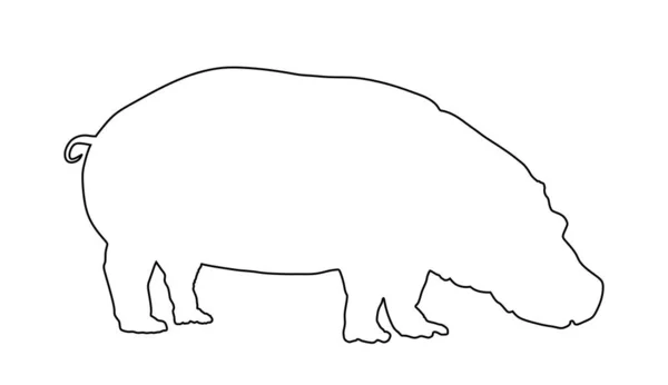 Hipopotam Hippotam Linia Kontur Wektor Sylwetka Ilustracja Izolowane Białym Tle — Wektor stockowy