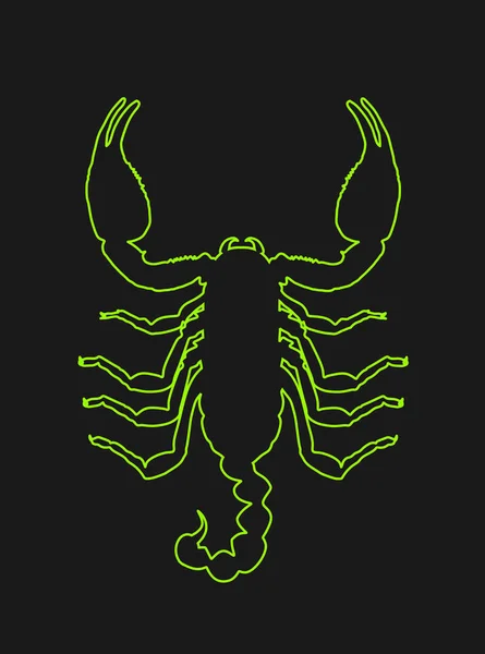 蝎子矢量线轮廓轮廓轮廓图形孤立在黑色背景 致命的毒液动物符号 有毒动物 沙漠地面的X射线夜视 — 图库矢量图片