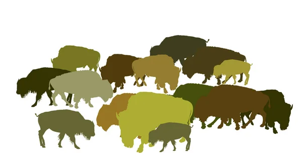 Körde Bison Vektor Siluett Illustration Isolerad Vit Bakgrund Buffalo Hjorden — Stock vektor