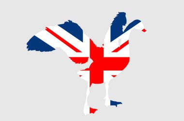 Büyük Britanya kuğu kuşunun ulusal hayvan vektör siluetinin üzerindeki bayrak izole edildi. Birleşik Krallık sembolü. Cumhuriyet İmparatorluğu amblemi vatansever bayrağı. Atlantik Okyanusu adası Avrupa bölgesi.