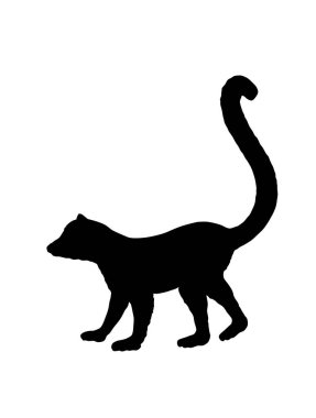 Lemur maymun vektör silüeti beyaz arka planda izole edilmiş. Komik hayvan. Halka kuyruk lemuru sembolü. Afrika Madagaskar egzotik maymun şekil gölgesi.