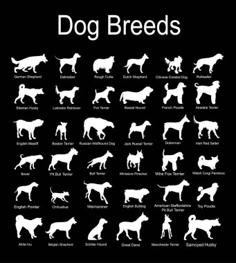 Büyük köpek cinsi koleksiyon vektör silueti çizimi siyah arka planda izole edildi: pitbull terrier, tel tilki terrier, welsh corgi Pembroke, hırka, Manchester terrier köpek şekli gölge....