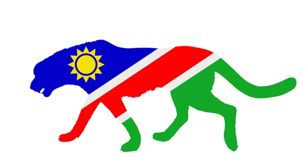 Bandeira Namíbia Sobre Silhueta Vetorial Animal Nacional Chita Ilustração Isolada —  Vetores de Stock