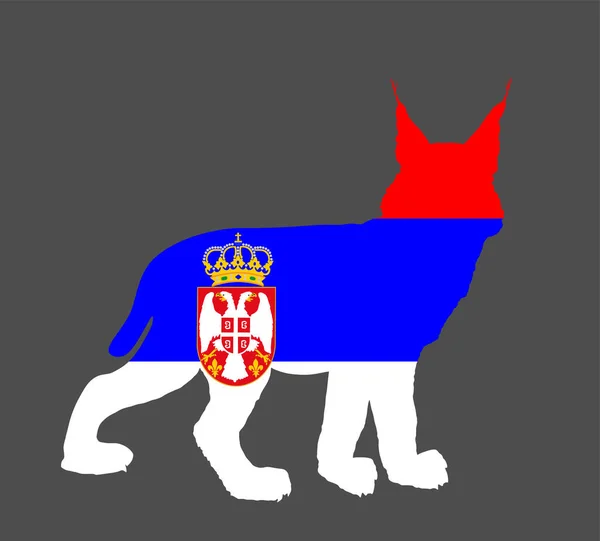 Иллюстрация Сербского Флага Над Векторным Силуэтом Рыси Изолирована Заднем Плане — стоковый вектор