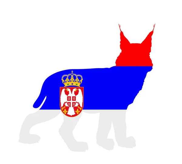 Serbische Flagge Über Der Silhouette Des Luchsvektors Auf Weißem Hintergrund — Stockvektor