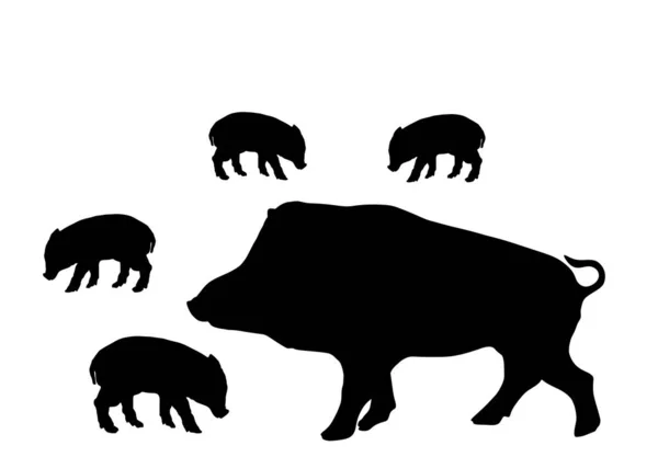 Male Warthog Baby Pigs Vector Silhouette Illustration Isolated White Background — Stock Vector