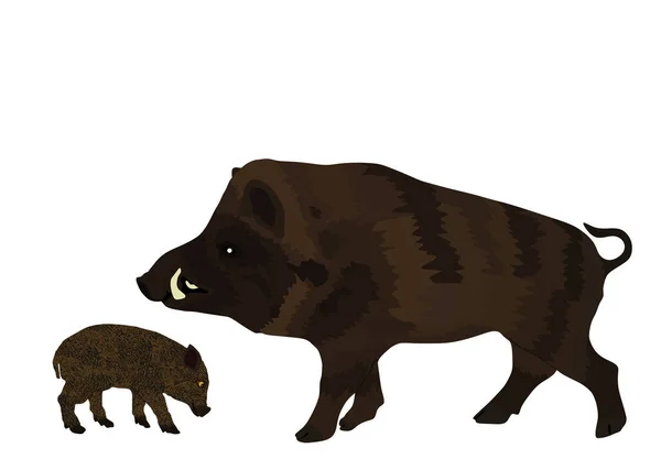 Männlicher Warzenschwein Mit Babyschweinvektorabbildung Isoliert Auf Weißem Hintergrund Schweinefleisch Wildschwein — Stockvektor