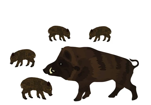 Varón Warthog Con Bebé Cerdos Vector Ilustración Aislada Sobre Fondo — Vector de stock