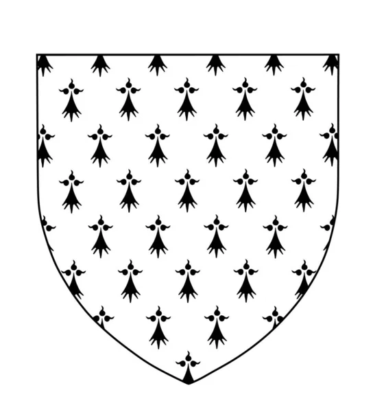 Région Bretagne Blason Drapeau Vectoriel Illustration Province France Symbole Bannière — Image vectorielle