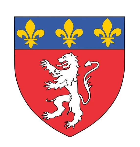 Lyon Coat Arms Flag Vector Illustration City France 프랑스 현수막 — 스톡 벡터
